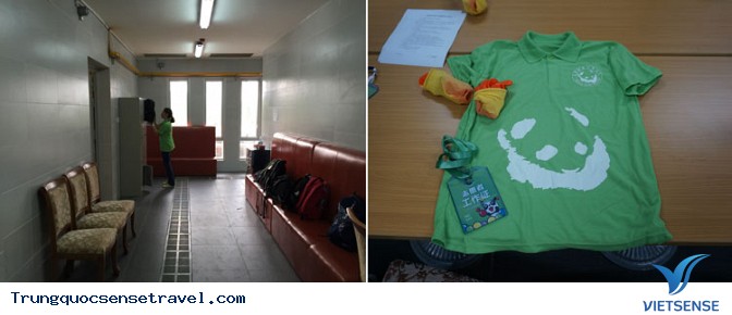 Đô Giang Yến Panda Keeper chương trình Tour du lịch Trung Quốc - Ảnh 2 Đô Giang Yến Panda Keeper chương trình Tour du lịch Trung Quốc - Ảnh 2