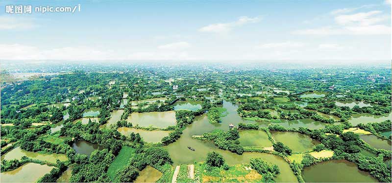 Xixi - công viên quốc gia đầm lấy cổ kính tại Hàng Châu - Ảnh 1