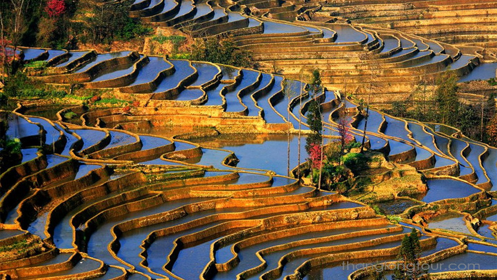 Ruộng bậc thang Ruộng bậc thang