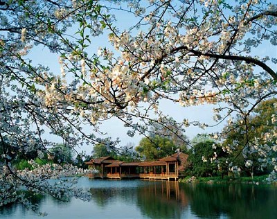 Nên đi vào thời gian nào trong năm? Nên đi vào thời gian nào trong năm?