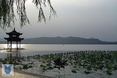 Tây Hồ - Hàng Châu - Trung Quốc Tây Hồ - Hàng Châu - Trung Quốc