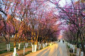 A Lư - Côn Minh - Thạch Lâm