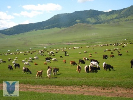 Bắc Kinh - Nội Mông Cổ 6 Ngày