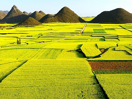 Những đồng cỏ đẹp nhất ở Trung Quốc, 2018