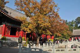 Thành Đô - Cửu Trại Câu Thành Đô - Cửu Trại Câu