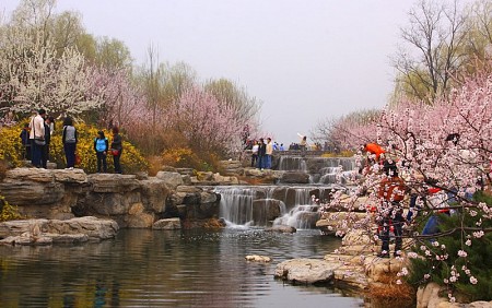 Thượng Hải - Bắc Kinh - Hàng Châu - Tô Châu - 7 Ngày - 2025