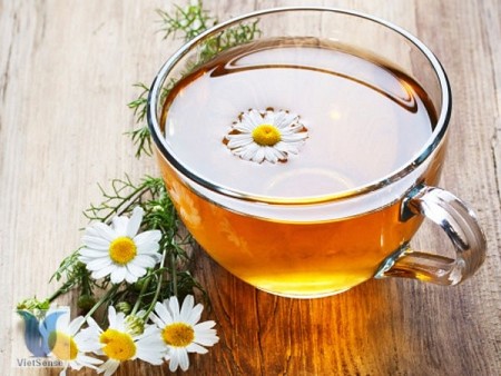 Trà Hoa Cúc - Trung Quốc