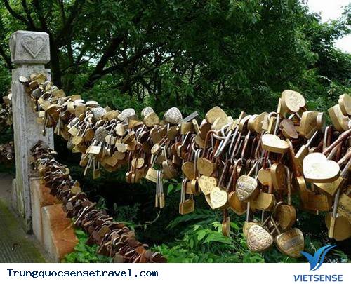 Chương trình tham quan Trương Gia Giới - Ảnh 3 Chương trình tham quan Trương Gia Giới - Ảnh 3