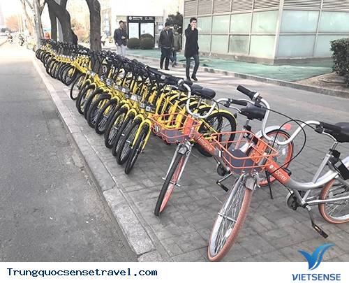 Ý kiến người dân Bắc Kinh về xe đạp - Ảnh 3 Ý kiến người dân Bắc Kinh về xe đạp - Ảnh 3