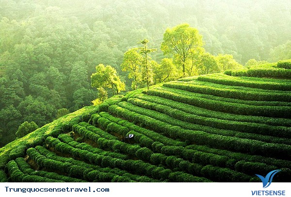 Khu lưu trữ mảnh ghép thứ tư nằm ở Hang Rồng Vàng - Ảnh 2 Khu lưu trữ mảnh ghép thứ tư nằm ở Hang Rồng Vàng - Ảnh 2