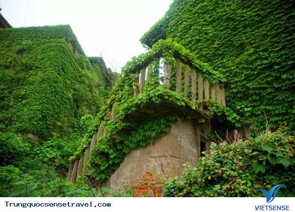 Rùng rợn với “đảo ma” xanh mướt tại Trung Quốc - Ảnh 3 Rùng rợn với “đảo ma” xanh mướt tại Trung Quốc - Ảnh 3