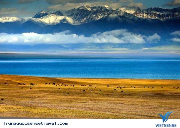 Thảo nguyên Tân Cương - một bức tranh tuyệt mỹ - Ảnh 11 Thảo nguyên Tân Cương - một bức tranh tuyệt mỹ - Ảnh 11