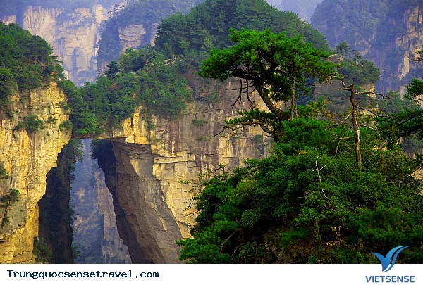 Trương Gia giới – Một nét chốn bồng lai, tiên cảnh. - Ảnh 2