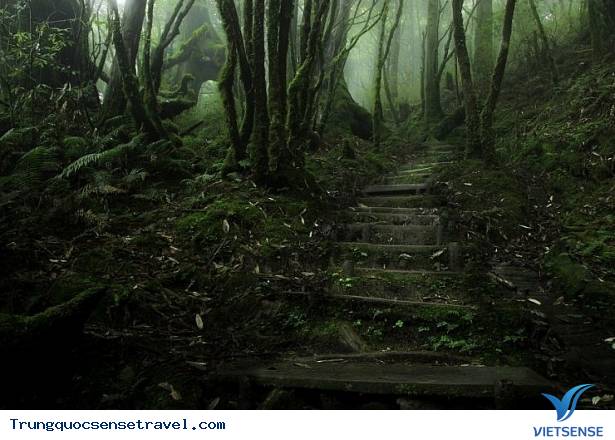 Những điểm thăm quan hấp dẫn nhất Đài Loan - Ảnh 6