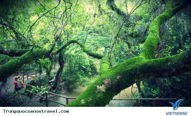 Tham quan tại những điểm thăm quan miễn phí - Ảnh 2 Tham quan tại những điểm thăm quan miễn phí - Ảnh 2