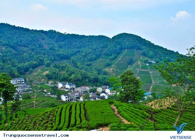 Làng Long Tỉnh Làng Long Tỉnh