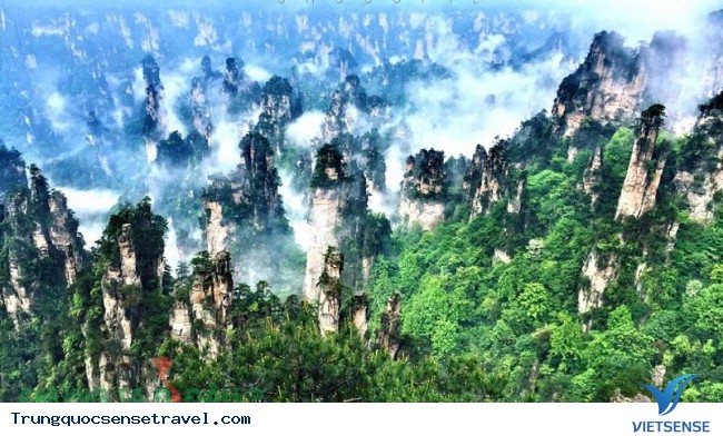 Trương Gia Giới Trương Gia Giới