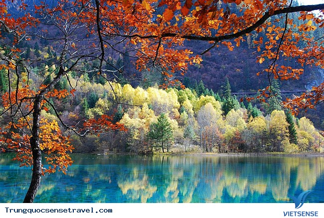 Kinh nghiệm và một số lưu ý khi đến Cửu Trại Câu 2025 - Ảnh 1 Kinh nghiệm và một số lưu ý khi đến Cửu Trại Câu 2025 - Ảnh 1