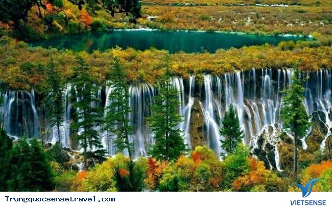 Trân Châu Than Trân Châu Than