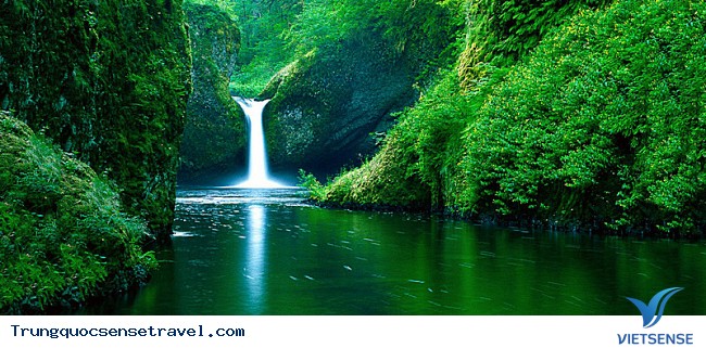 Thác Thụ Chính Thác Thụ Chính