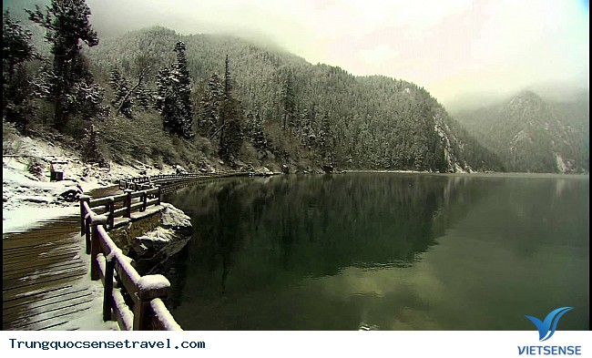 Hồ Trường Hải Hồ Trường Hải