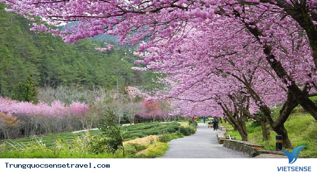 Công viên Dương Minh Sơn, Công viên Dương Minh Sơn,