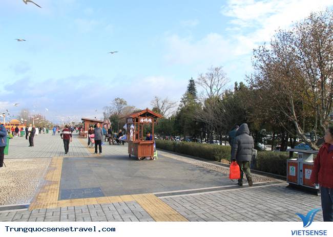 Ngắm đàn hải âu ngộ nghĩnh ở Côn Minh - Trung Quốc - Ảnh 5 Ngắm đàn hải âu ngộ nghĩnh ở Côn Minh - Trung Quốc - Ảnh 5