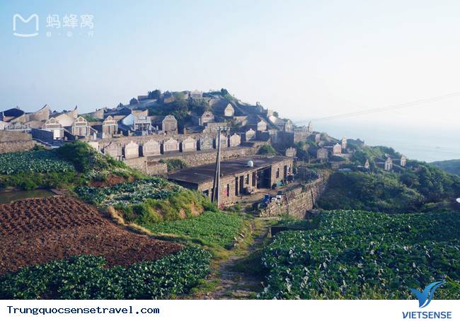 Rùng rợn với “đảo ma” xanh mướt tại Trung Quốc - Ảnh 2 Rùng rợn với “đảo ma” xanh mướt tại Trung Quốc - Ảnh 2