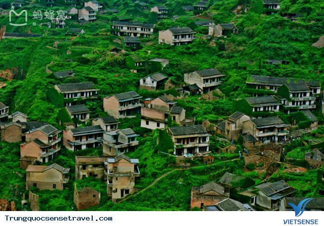 Rùng rợn với “đảo ma” xanh mướt tại Trung Quốc - Ảnh 4 Rùng rợn với “đảo ma” xanh mướt tại Trung Quốc - Ảnh 4