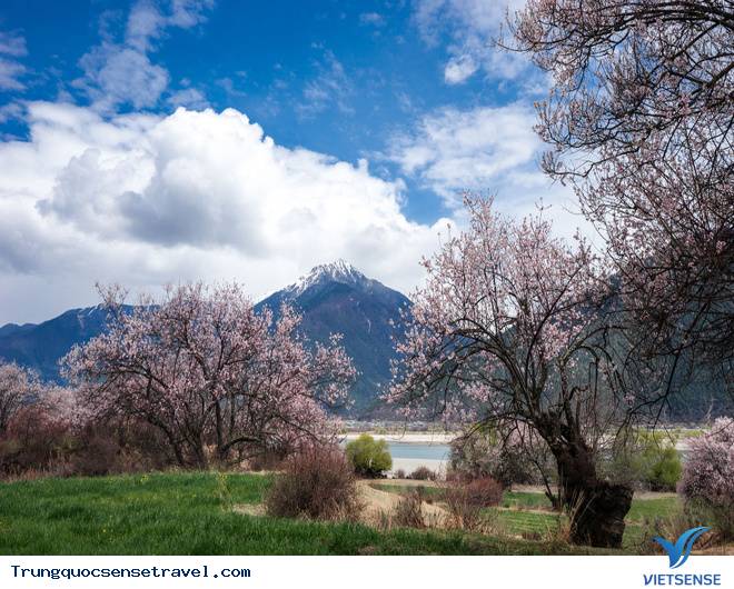 Tây Tạng Tây Tạng