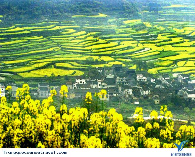 Vụ Nguyên, Quảng Tây Vụ Nguyên, Quảng Tây