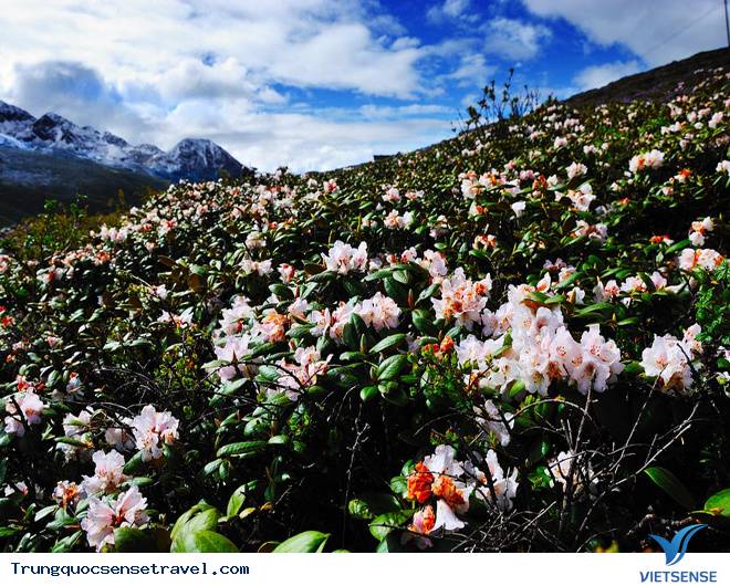 Garze, tỉnh Tứ Xuyên Garze, tỉnh Tứ Xuyên