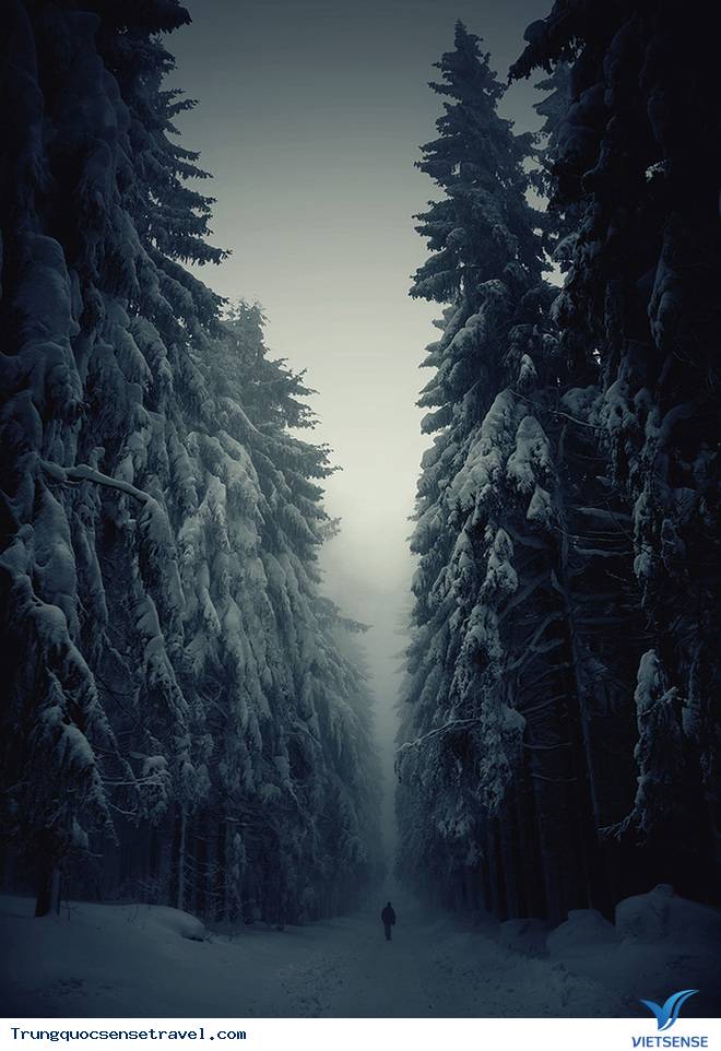 Những điểm thăm quan hấp dẫn nhất Đài Loan - Ảnh 7