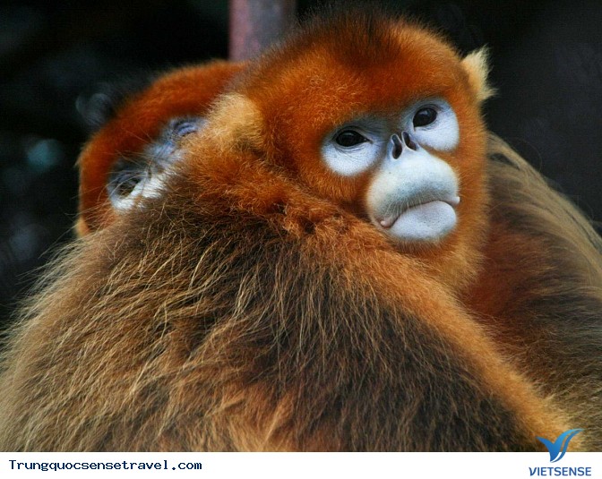 Một số địa điểm khác - Ảnh 5