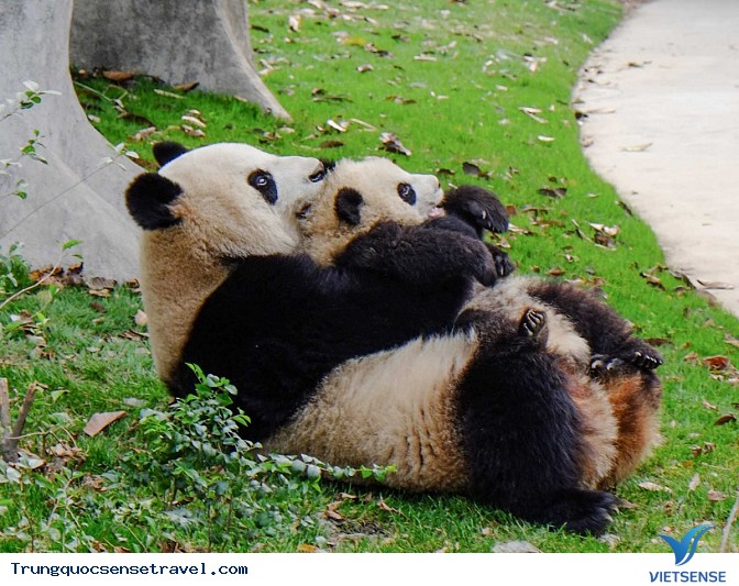 Một số địa điểm khác - Ảnh 8