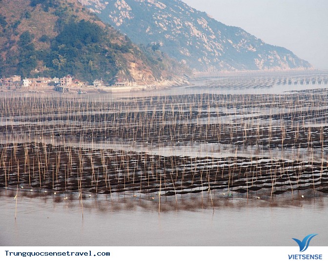 Cưỡi lạc đà đi trên những cồn cát của sa mạc Gobi đến hồ Crescent ở thị trấn Đôn Hoàng.