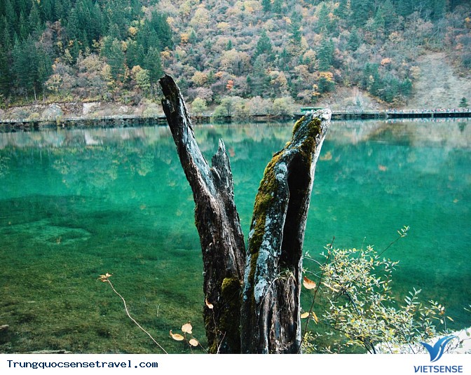 Một số địa điểm khác - Ảnh 9