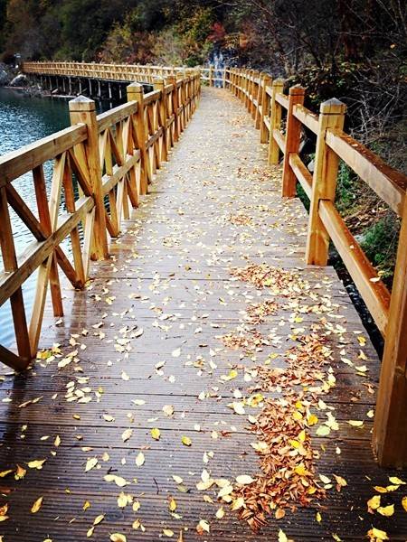 Chốn thiên đường Cửu Trại Câu vào mùa đẹp nhất năm - Ảnh 10 Chốn thiên đường Cửu Trại Câu vào mùa đẹp nhất năm - Ảnh 10