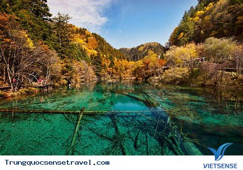 Chốn thiên đường Cửu Trại Câu vào mùa đẹp nhất năm - Ảnh 3 Chốn thiên đường Cửu Trại Câu vào mùa đẹp nhất năm - Ảnh 3