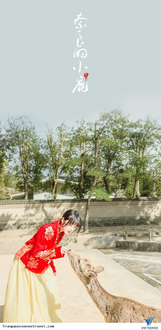 Trao Lưu Checkin với quần áo truyền thống cực chất - Ảnh 25 Trao Lưu Checkin với quần áo truyền thống cực chất - Ảnh 25