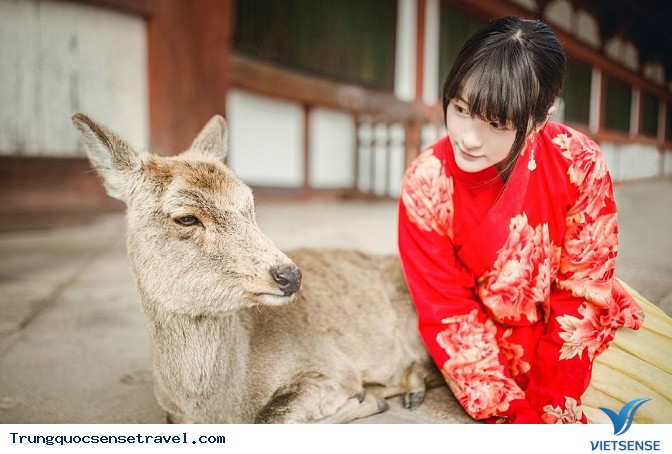 Trao Lưu Checkin với quần áo truyền thống cực chất - Ảnh 23 Trao Lưu Checkin với quần áo truyền thống cực chất - Ảnh 23