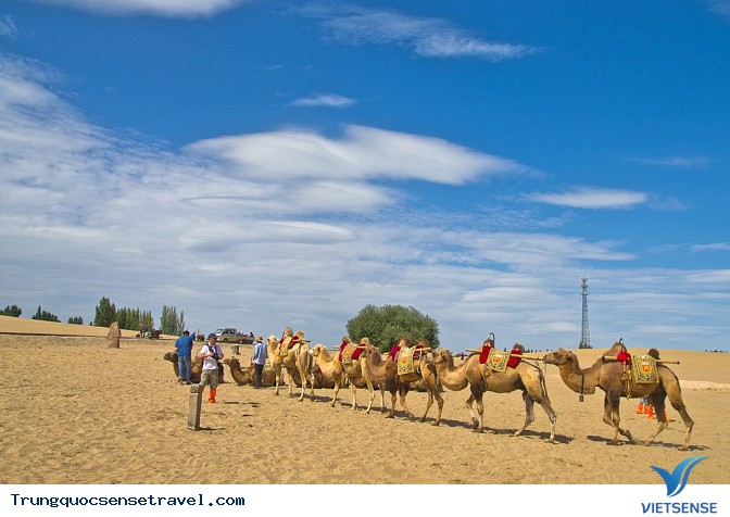 Hoa mắt lạc trong những sa mạc đẹp nhất Trung Quốc - Ảnh 4