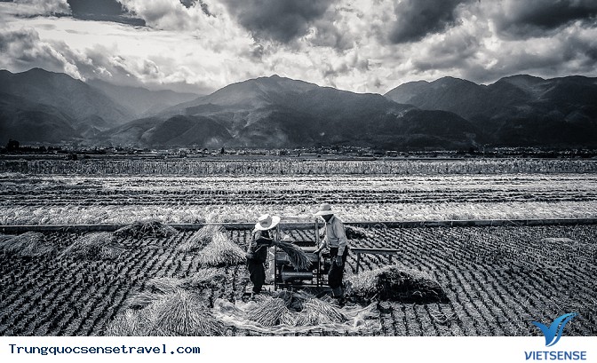 Những bức ảnh đẹp truyền cảm hứng cho bạn đến Trung Quốc - Ảnh 13 Những bức ảnh đẹp truyền cảm hứng cho bạn đến Trung Quốc - Ảnh 13