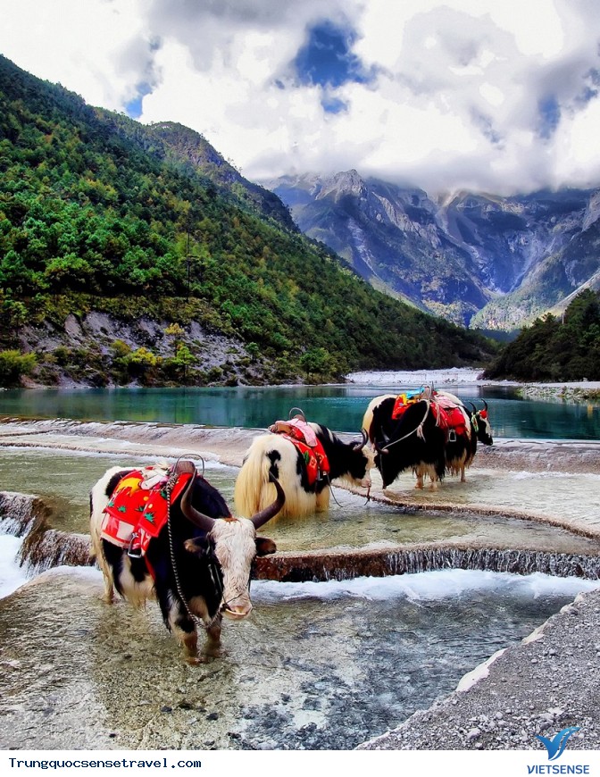 Những bức ảnh đẹp truyền cảm hứng cho bạn đến Trung Quốc - Ảnh 6 Những bức ảnh đẹp truyền cảm hứng cho bạn đến Trung Quốc - Ảnh 6