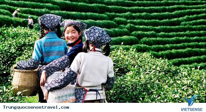 Tới Thượng Hải bỏ túi một vài kinh nghiệm sau - Ảnh 3