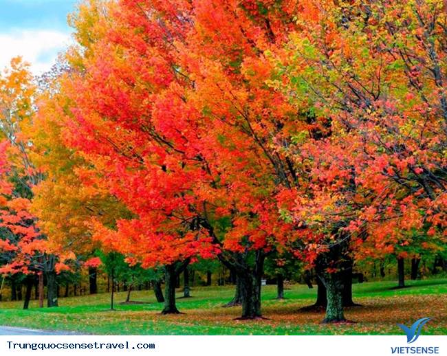 Tới Thượng Hải bỏ túi một vài kinh nghiệm sau - Ảnh 2