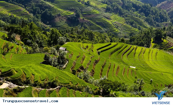Vẻ đẹp lộng lẫy của ruộng bậc thang Nguyên Dương - Ảnh 2 Vẻ đẹp lộng lẫy của ruộng bậc thang Nguyên Dương - Ảnh 2