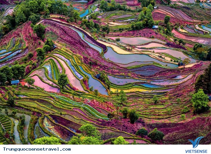 Vẻ đẹp lộng lẫy của ruộng bậc thang Nguyên Dương - Ảnh 1 Vẻ đẹp lộng lẫy của ruộng bậc thang Nguyên Dương - Ảnh 1