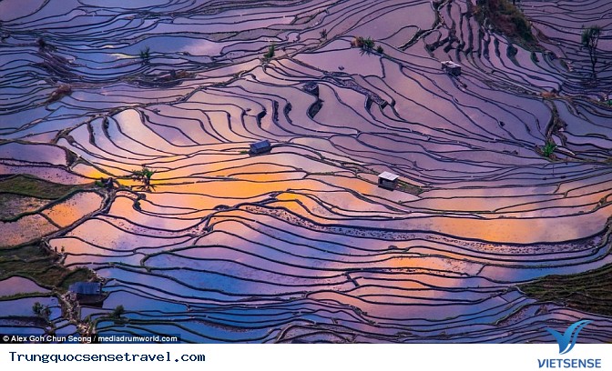 Vẻ đẹp lộng lẫy của ruộng bậc thang Nguyên Dương - Ảnh 3 Vẻ đẹp lộng lẫy của ruộng bậc thang Nguyên Dương - Ảnh 3
