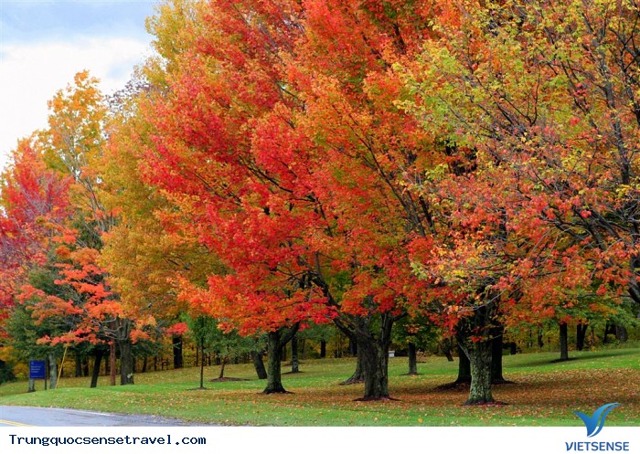 Thời điểm đẹp nhất để đến với Thượng Hải Thời điểm đẹp nhất để đến với Thượng Hải